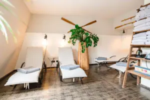 Wellnessbereich im HENRI Hamburg Wellnessbereich mit Liegestühlen und einer Zimmerpflanze.