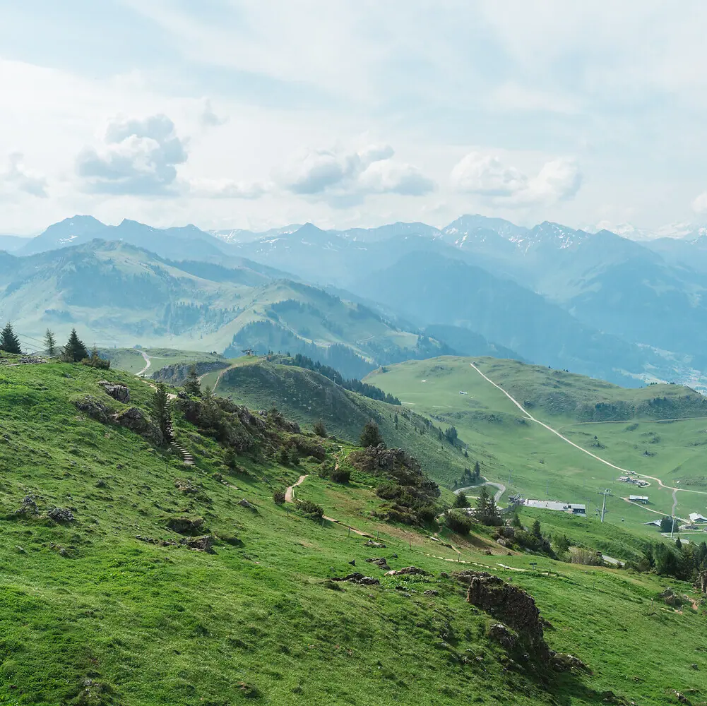 Kitzbühler Horn Grüne Hügel mit einer Straße und Bergen im Hintergrund.