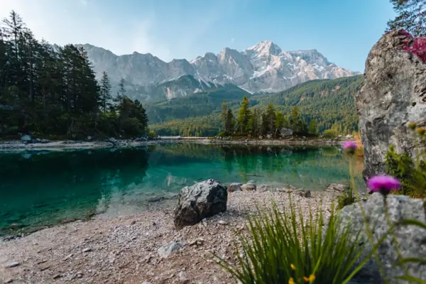 Eibsee im Sommer Der Eibsee mit Bäumen und Bergen im Hintergrund