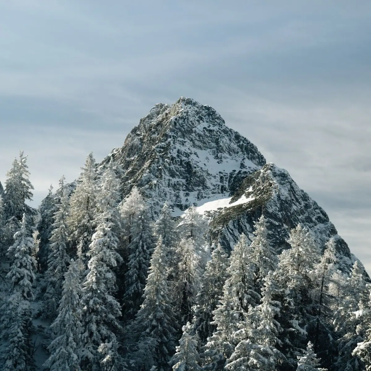 Garmisch-Partenkirchen Winter Verschneiter Berg mit Bäumen im Vordergrund.