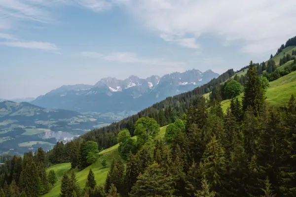 Kitzbüheler Alpen Das grüne Bergpanorama der Kitzbüheler Alpen im Sommer bei blauem Himmel.