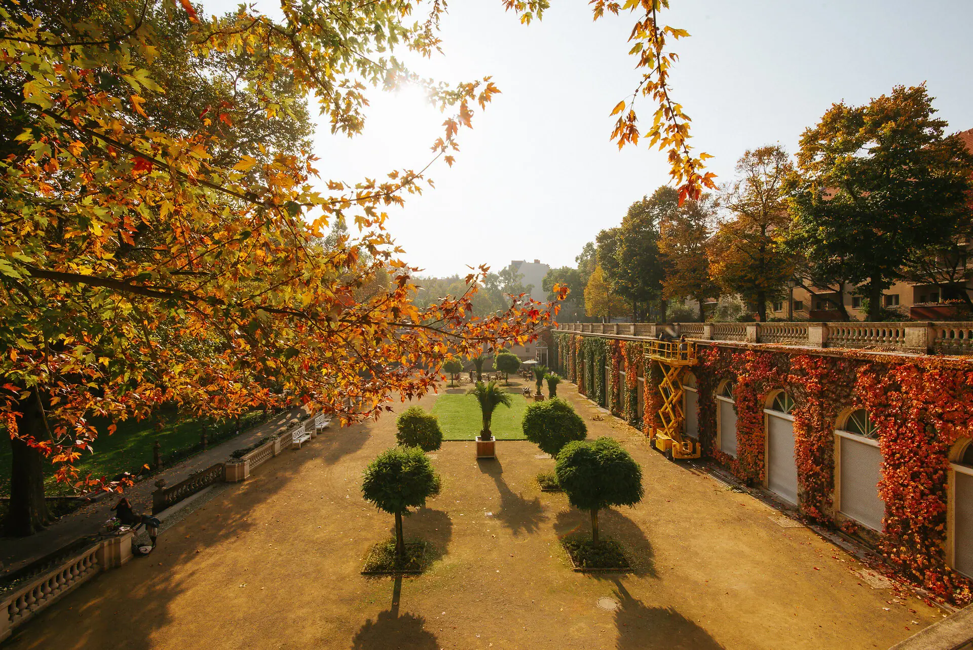 HENRI Berlin Herbst Innenhof mit Bäumen und Büschen im Herbst.