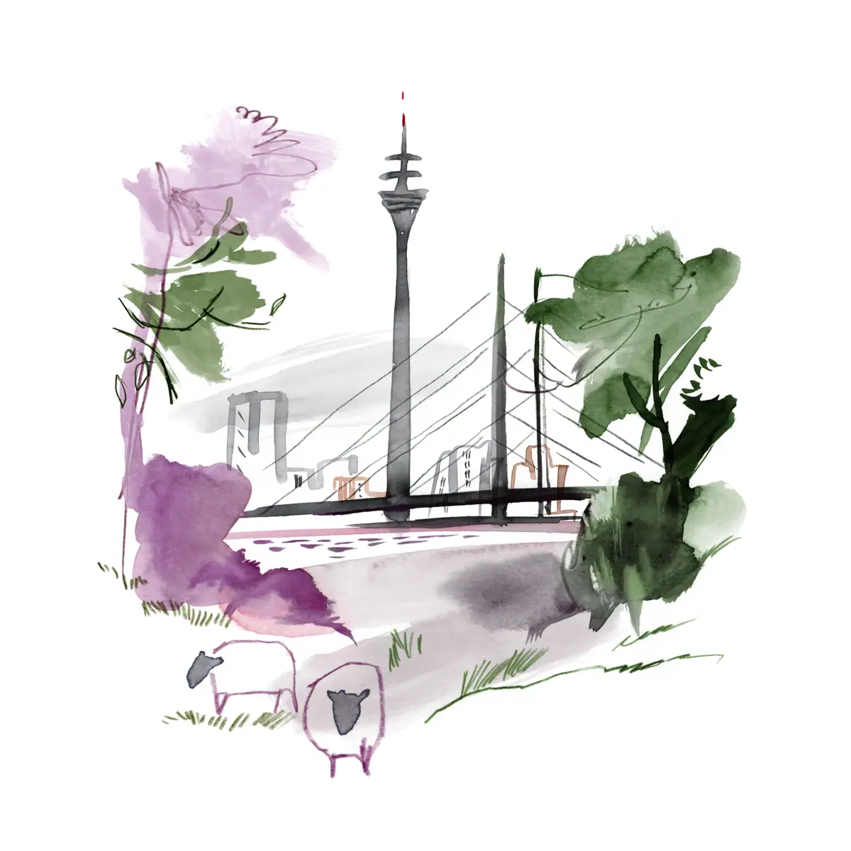 Illustration zum Rheinufer Aquarellzeichnung des Rheinufers mit Brücke im Hintergrund und Schafen vorne