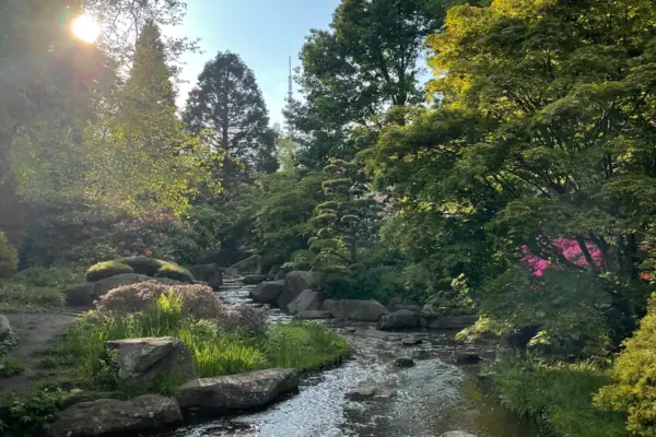 Planten un Blomen Ein Bach fließt durch einen Wald.