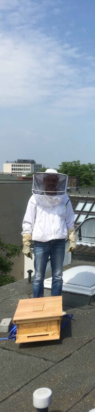 Bienen auf dem Dach