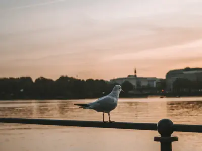 Seien Sie ein HENRI Early Bird und sparen Sie mit unserer Frühbucherrate 10 % auf Ihren Urlaub in Hamburg.