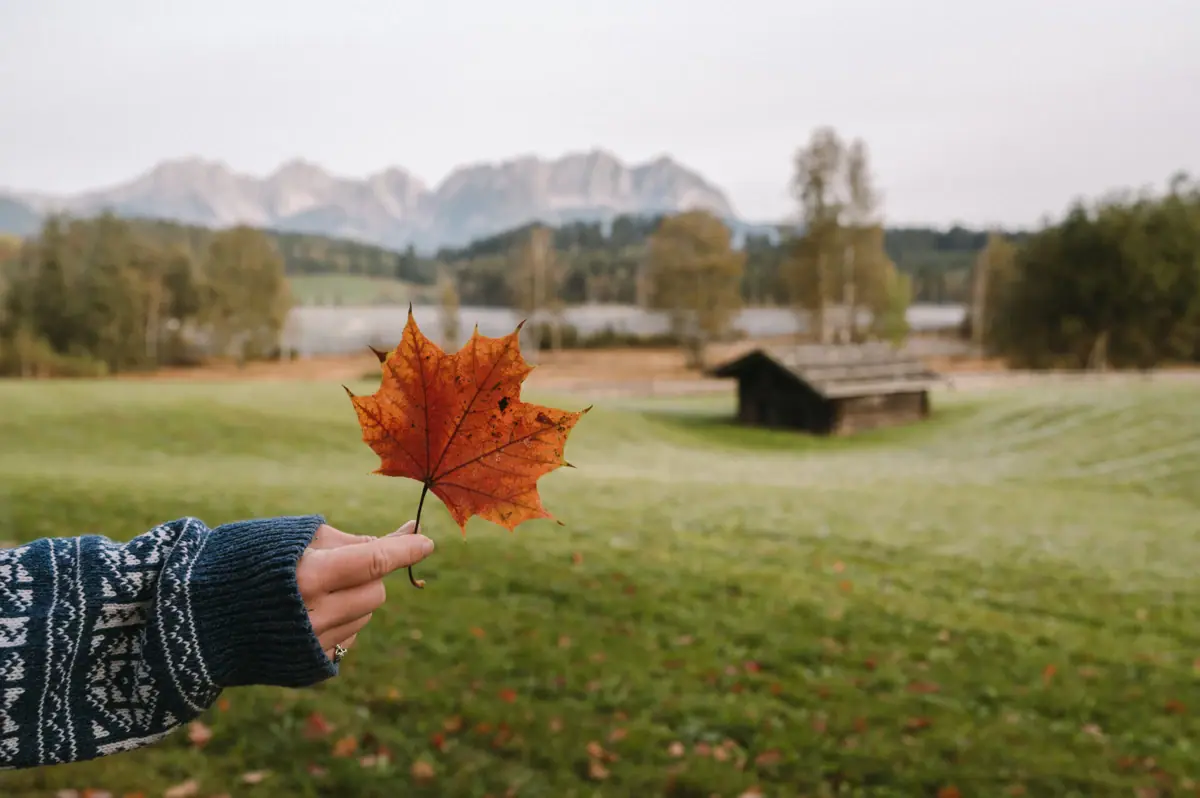 Herbst in Kitzbühel Eine Person hält ein Blatt vor einem Haus.